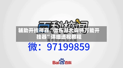 辅助开挂神器“微乐湖北麻将万能开挂器”详细透视教程-第2张图片