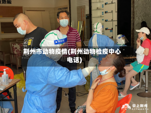 荆州市动物疫情(荆州动物检疫中心电话)-第2张图片