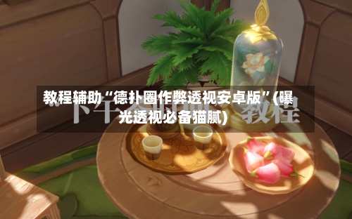 教程辅助“德扑圈作弊透视安卓版”(曝光透视必备猫腻)-第3张图片