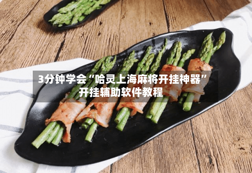 3分钟学会“哈灵上海麻将开挂神器	”开挂辅助软件教程-第2张图片