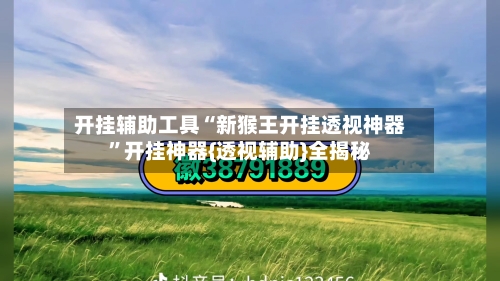 开挂辅助工具“新猴王开挂透视神器	”开挂神器{透视辅助}全揭秘-第3张图片