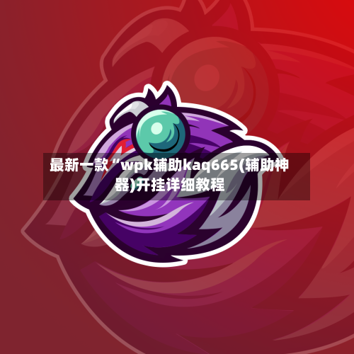 最新一款“wpk辅助kaq665(辅助神器)开挂详细教程-第1张图片