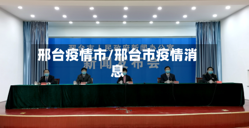 邢台疫情市/邢台市疫情消息-第3张图片