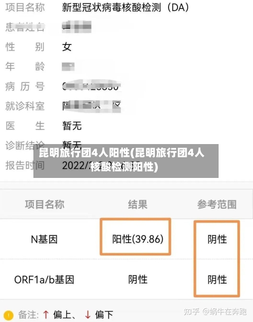 昆明旅行团4人阳性(昆明旅行团4人核酸检测阳性)-第1张图片