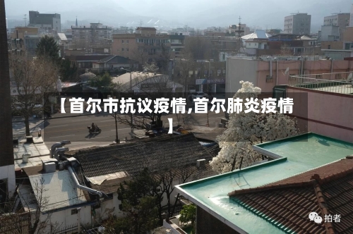 【首尔市抗议疫情,首尔肺炎疫情】-第2张图片