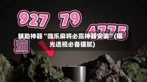辅助神器“微乐麻将必赢神器安装	”(曝光透视必备猫腻)-第2张图片