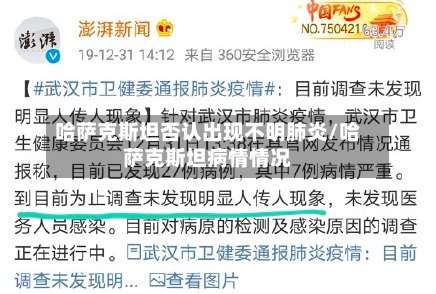 哈萨克斯坦否认出现不明肺炎/哈萨克斯坦病情情况-第1张图片