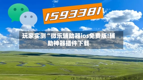 玩家实测“微乐辅助器ios免费版!辅助神器插件下载-第1张图片