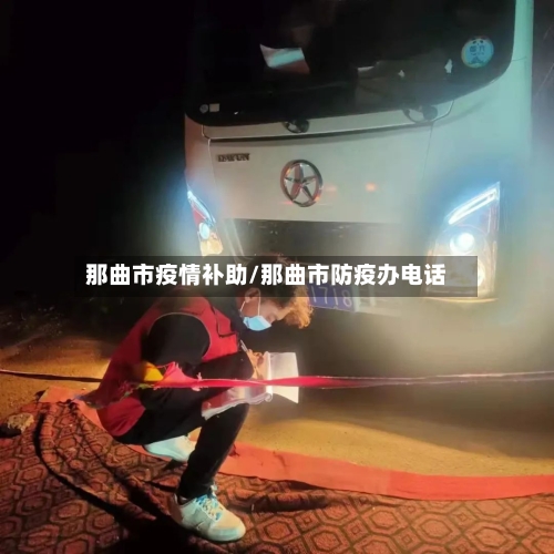 那曲市疫情补助/那曲市防疫办电话-第3张图片