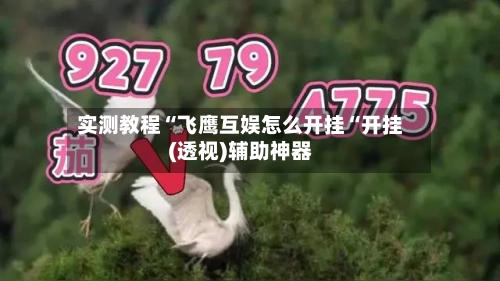 实测教程“飞鹰互娱怎么开挂“开挂(透视)辅助神器-第1张图片