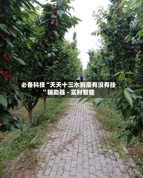必备科技“天天十三水到底有没有挂”辅助器 - 实时智能-第1张图片