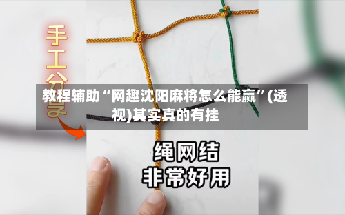 教程辅助“网趣沈阳麻将怎么能赢”(透视)其实真的有挂-第2张图片
