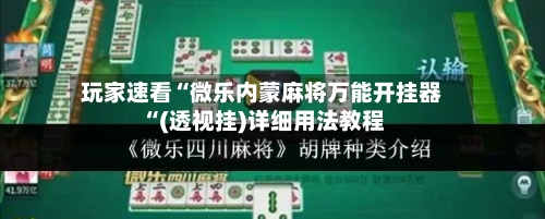 玩家速看“微乐内蒙麻将万能开挂器“(透视挂)详细用法教程-第2张图片