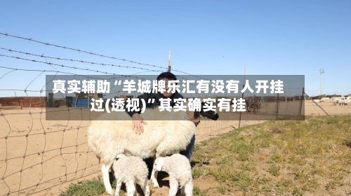 真实辅助“羊城牌乐汇有没有人开挂过(透视)”其实确实有挂-第2张图片