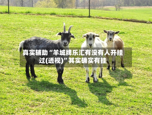 真实辅助“羊城牌乐汇有没有人开挂过(透视)	”其实确实有挂-第1张图片
