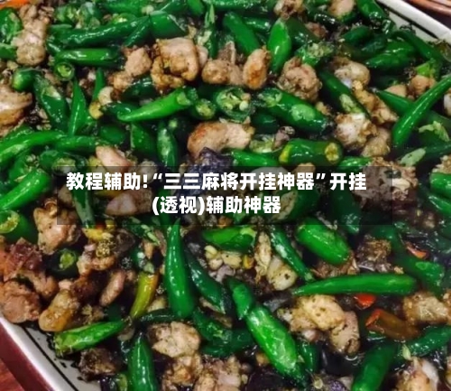 教程辅助!“三三麻将开挂神器”开挂(透视)辅助神器-第2张图片