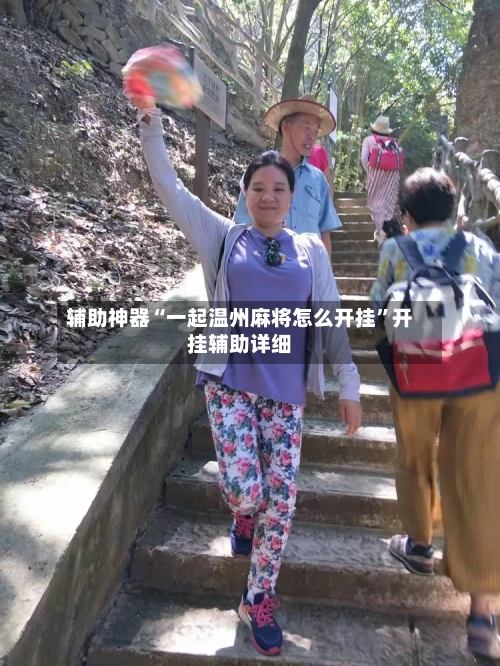 辅助神器“一起温州麻将怎么开挂”开挂辅助详细-第2张图片