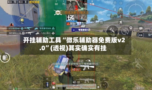 开挂辅助工具“微乐辅助器免费版v2.0”(透视)其实确实有挂-第1张图片