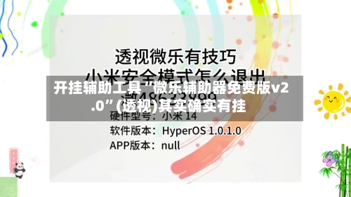 开挂辅助工具“微乐辅助器免费版v2.0”(透视)其实确实有挂-第3张图片