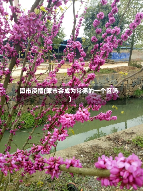 陬市疫情(陬市会成为常德的一个区吗)-第2张图片