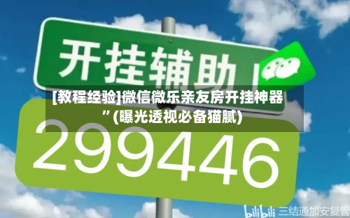 [教程经验]微信微乐亲友房开挂神器”(曝光透视必备猫腻)-第3张图片