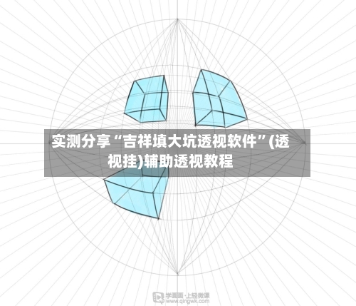 实测分享“吉祥填大坑透视软件”(透视挂)辅助透视教程-第2张图片