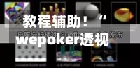 教程辅助！“wepoker透视挂破解版”详细开挂玩法-第3张图片
