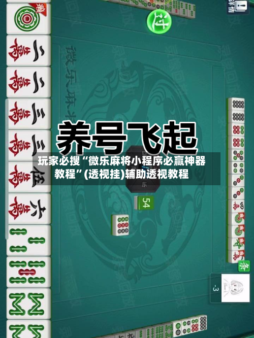 玩家必搜“微乐麻将小程序必赢神器教程”(透视挂)辅助透视教程-第3张图片