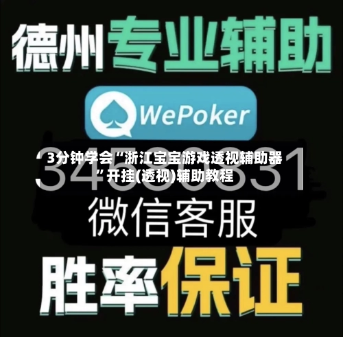 3分钟学会“浙江宝宝游戏透视辅助器”开挂(透视)辅助教程-第2张图片