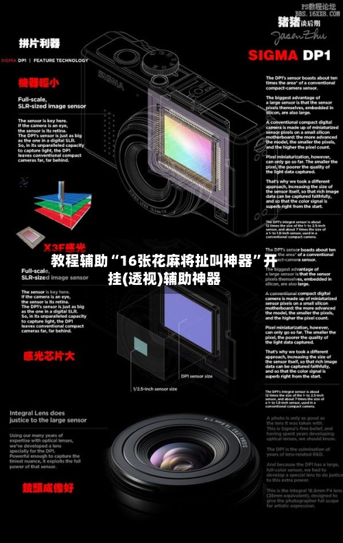 教程辅助“16张花麻将扯叫神器”开挂(透视)辅助神器-第3张图片