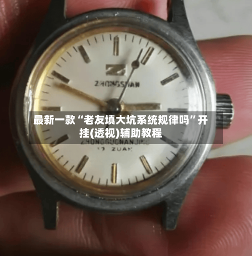 最新一款“老友填大坑系统规律吗”开挂(透视)辅助教程-第1张图片