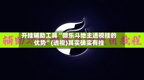 开挂辅助工具“微乐斗地主透视挂的优势”(透视)其实确实有挂-第1张图片