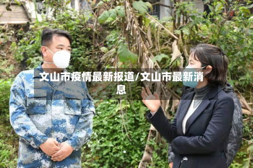 文山市疫情最新报道/文山市最新消息-第2张图片