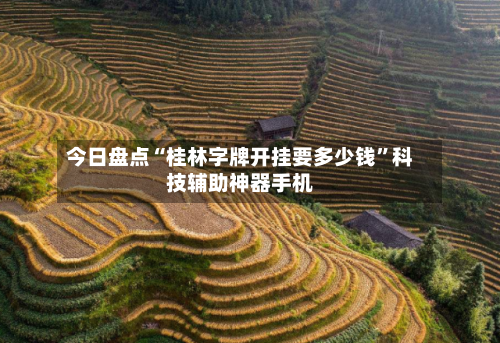 今日盘点“桂林字牌开挂要多少钱”科技辅助神器手机-第3张图片