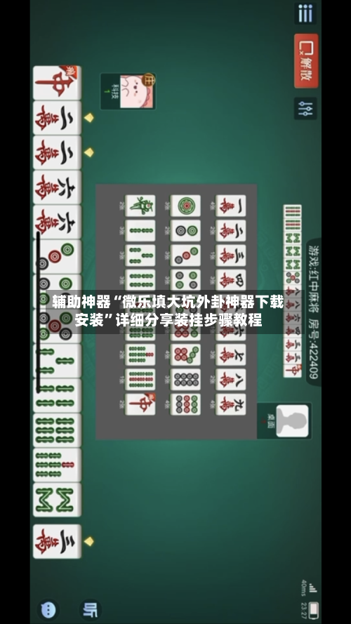 辅助神器“微乐填大坑外卦神器下载安装”详细分享装挂步骤教程-第3张图片