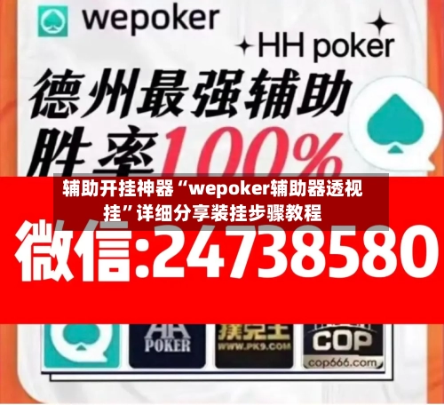 辅助开挂神器“wepoker辅助器透视挂”详细分享装挂步骤教程-第2张图片