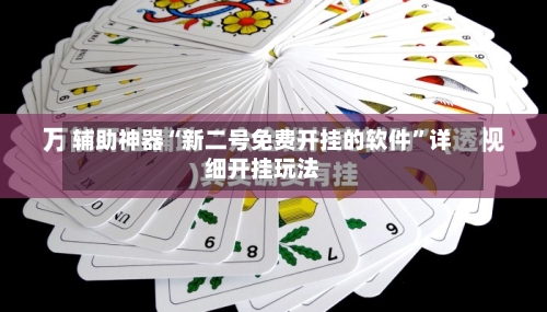 辅助神器“新二号免费开挂的软件	”详细开挂玩法-第2张图片