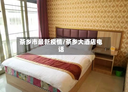 茶乡市最新疫情/茶乡大酒店电话-第2张图片
