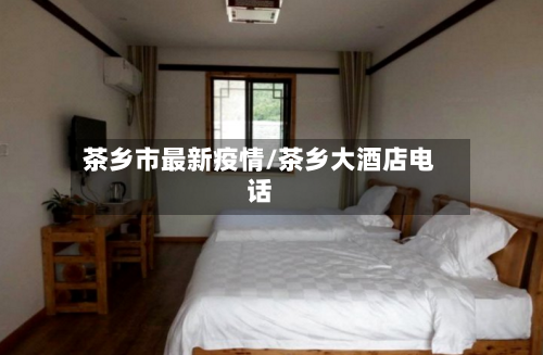 茶乡市最新疫情/茶乡大酒店电话-第3张图片