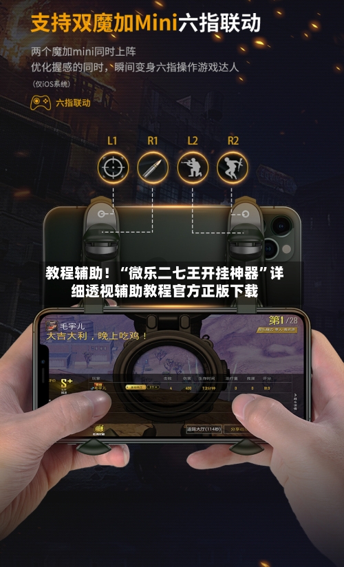 教程辅助！“微乐二七王开挂神器”详细透视辅助教程官方正版下载-第2张图片
