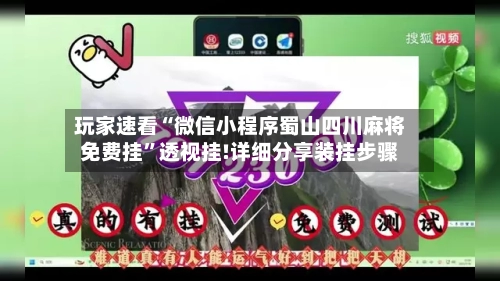 玩家速看“微信小程序蜀山四川麻将免费挂	”透视挂!详细分享装挂步骤-第1张图片