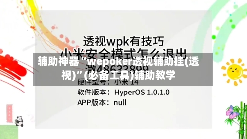 辅助神器“wepoker透视辅助挂(透视)”(必备工具)辅助教学-第2张图片