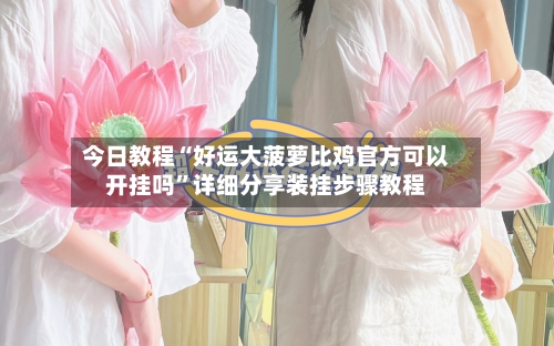 今日教程“好运大菠萝比鸡官方可以开挂吗	”详细分享装挂步骤教程-第2张图片