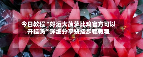 今日教程“好运大菠萝比鸡官方可以开挂吗”详细分享装挂步骤教程-第3张图片