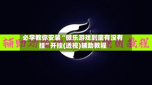 必学教你安装“微乐游戏到底有没有挂”开挂(透视)辅助教程-第2张图片