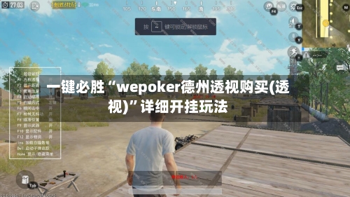 一键必胜“wepoker德州透视购买(透视)”详细开挂玩法-第3张图片