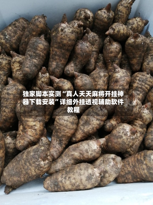 独家脚本实测“真人天天麻将开挂神器下载安装”详细外挂透视辅助软件教程-第3张图片