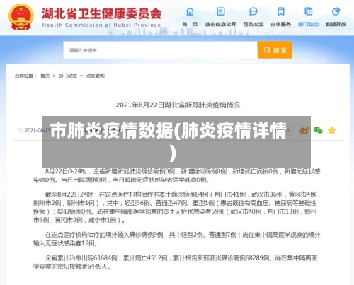 市肺炎疫情数据(肺炎疫情详情)-第3张图片