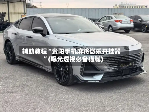 辅助教程“贵阳手机麻将微乐开挂器	”(曝光透视必备猫腻)-第1张图片