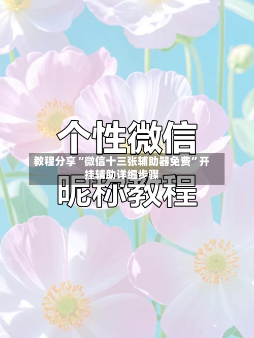 教程分享“微信十三张辅助器免费”开挂辅助详细步骤-第2张图片